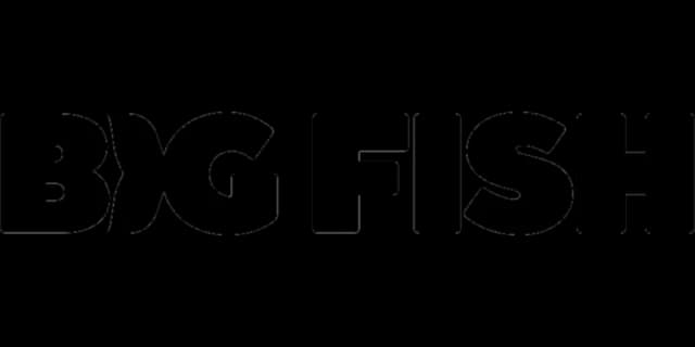 Big Fish Games logo