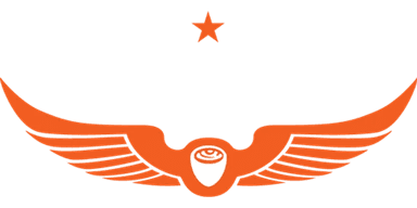 Intelligentsia