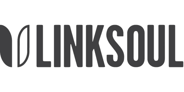 Linksoul logo