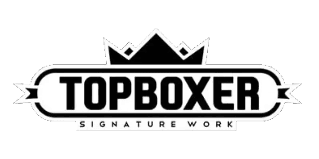 TopBoxer logo