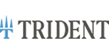 Trident Fly Fishing logo