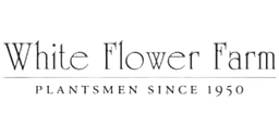 White Flower Farm