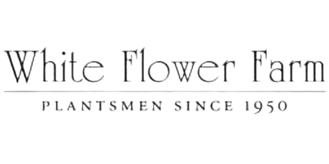 White Flower Farm logo