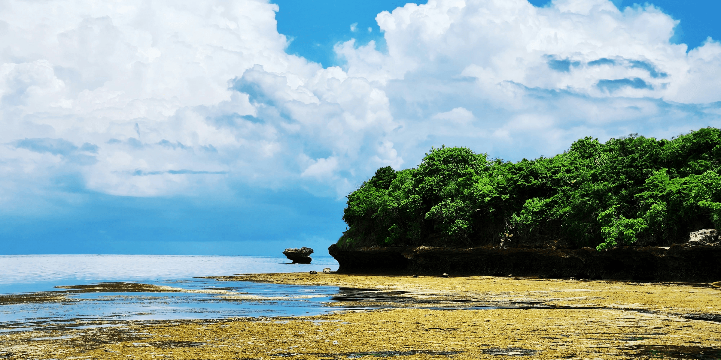 a body of water surrounded by trees and rocks