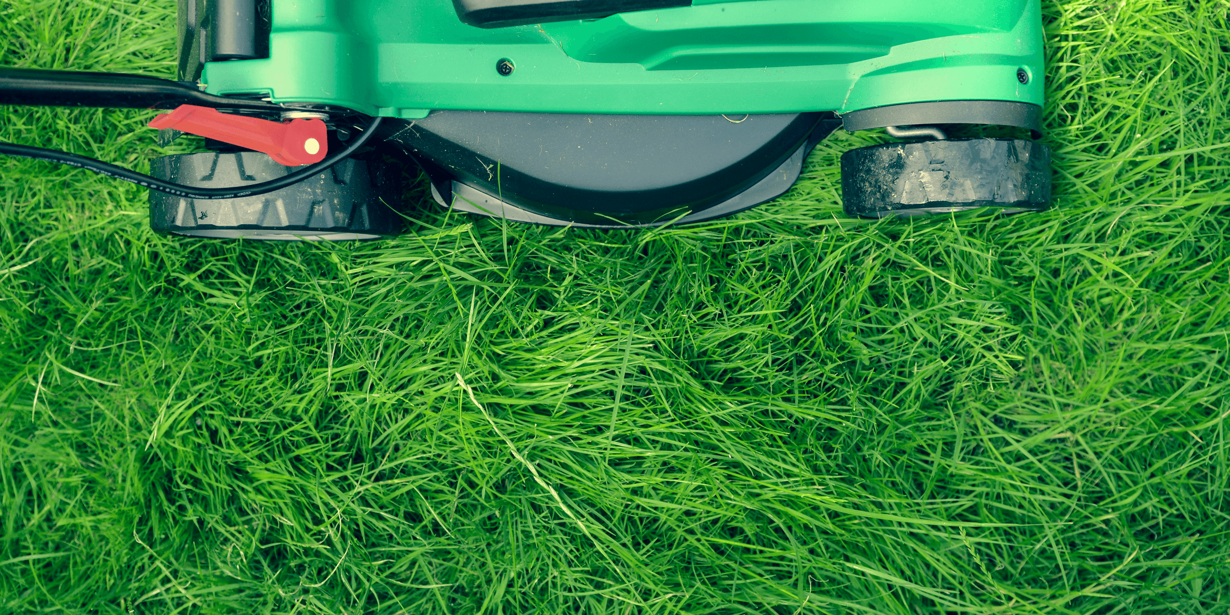 green and black lawnmower on green grass