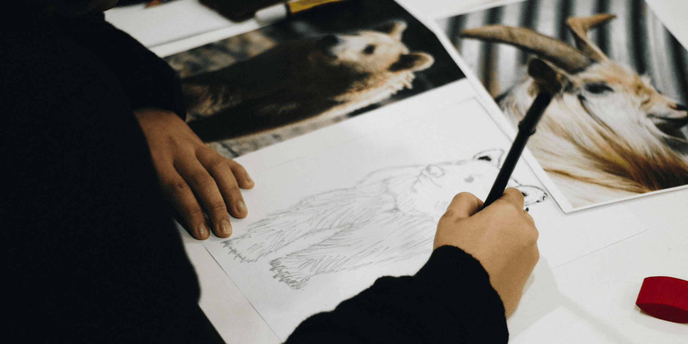 person drawing brown bear on paper