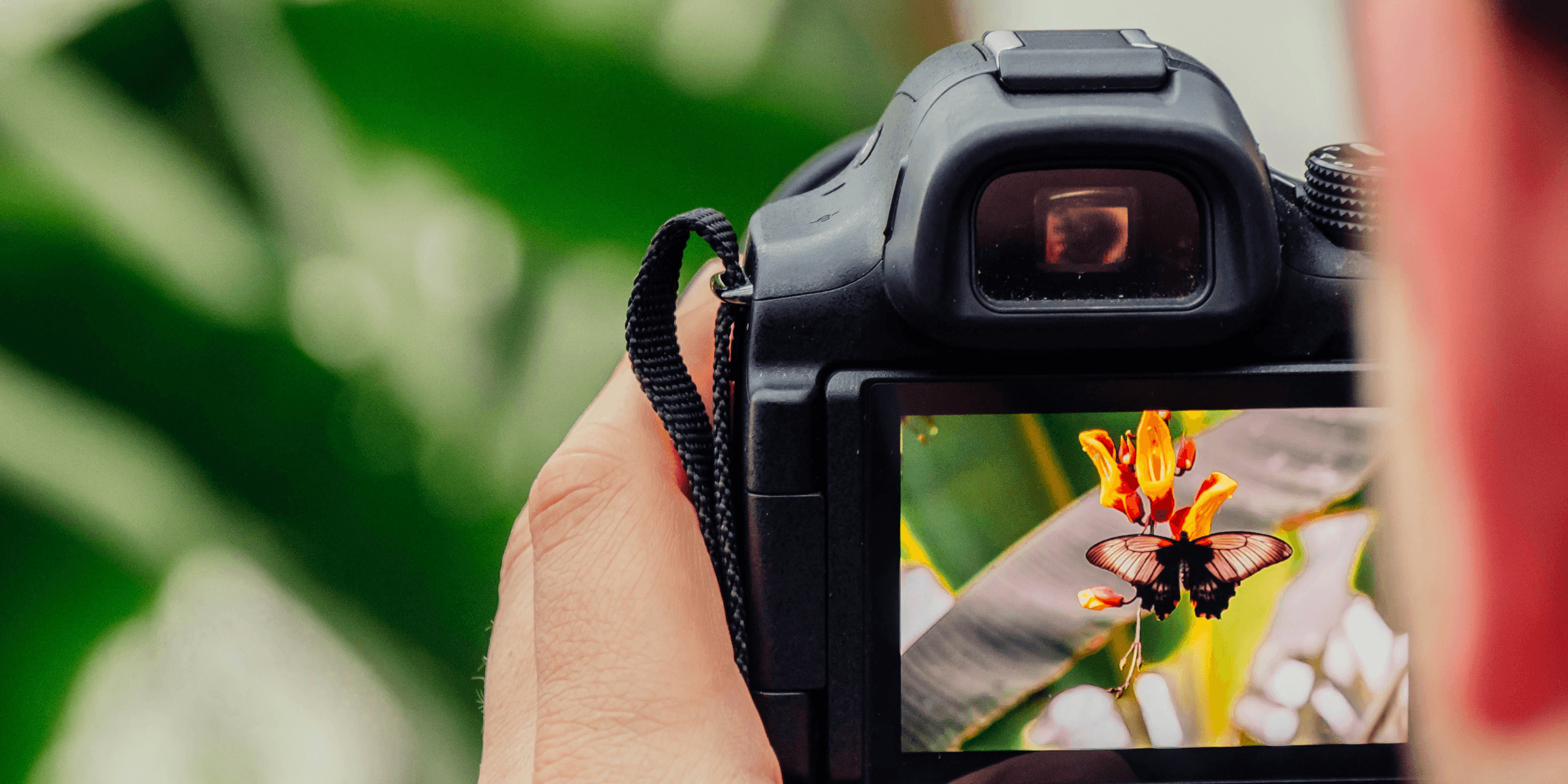 black digital camera capturing yellow flower.