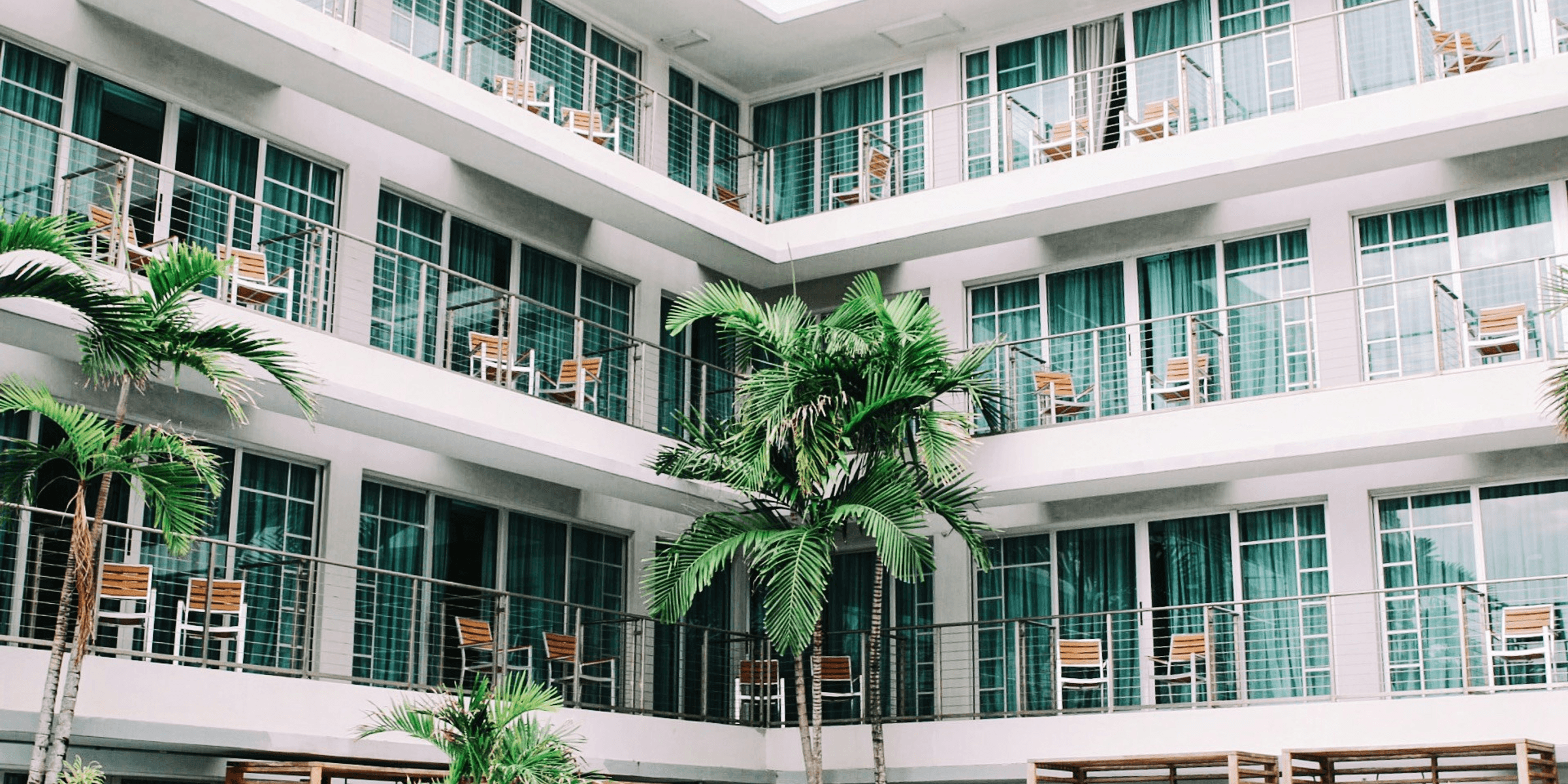 coconut palm trees in hotel lobby.