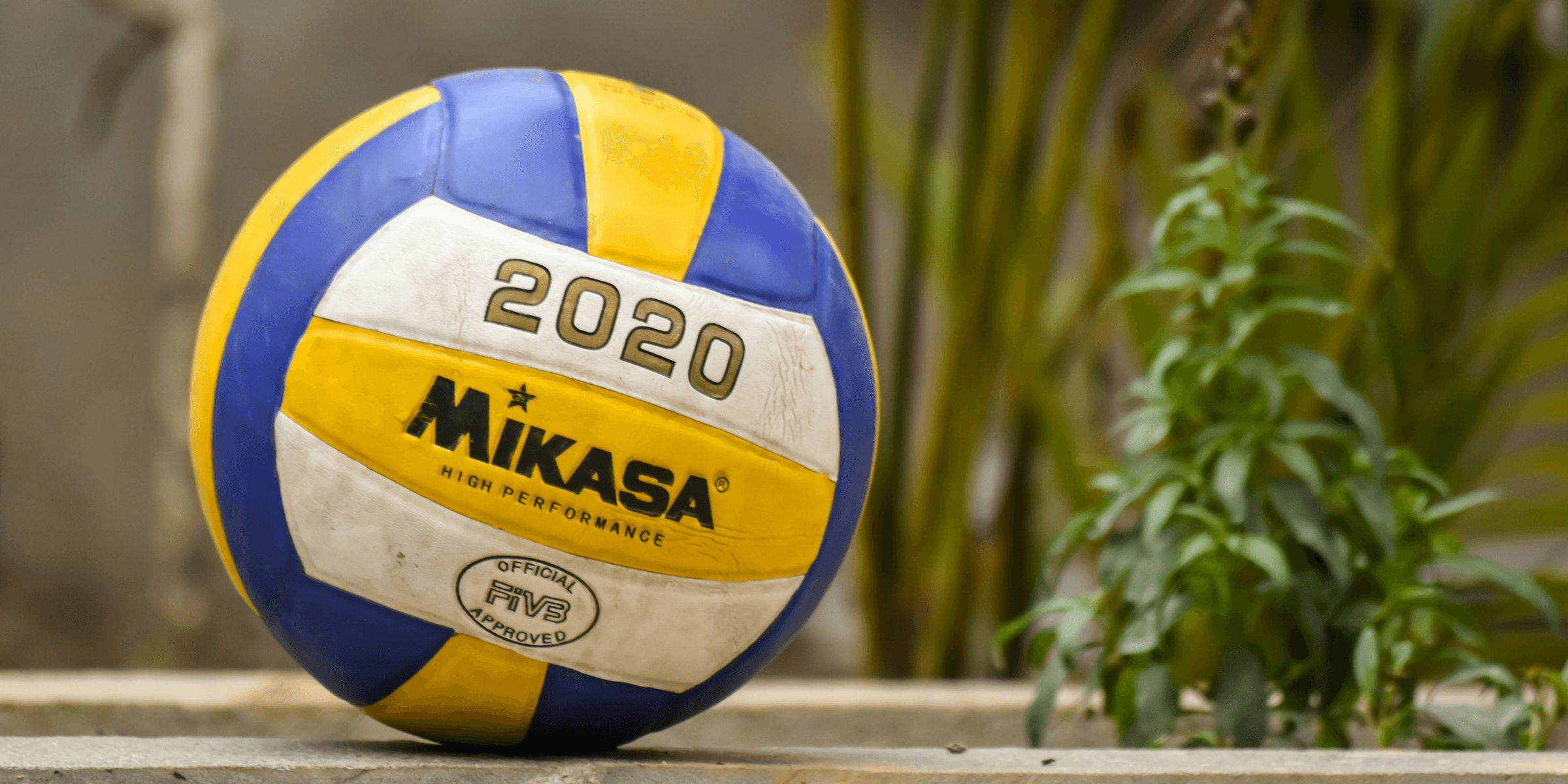 yellow and blue volleyball on brown wooden fence
