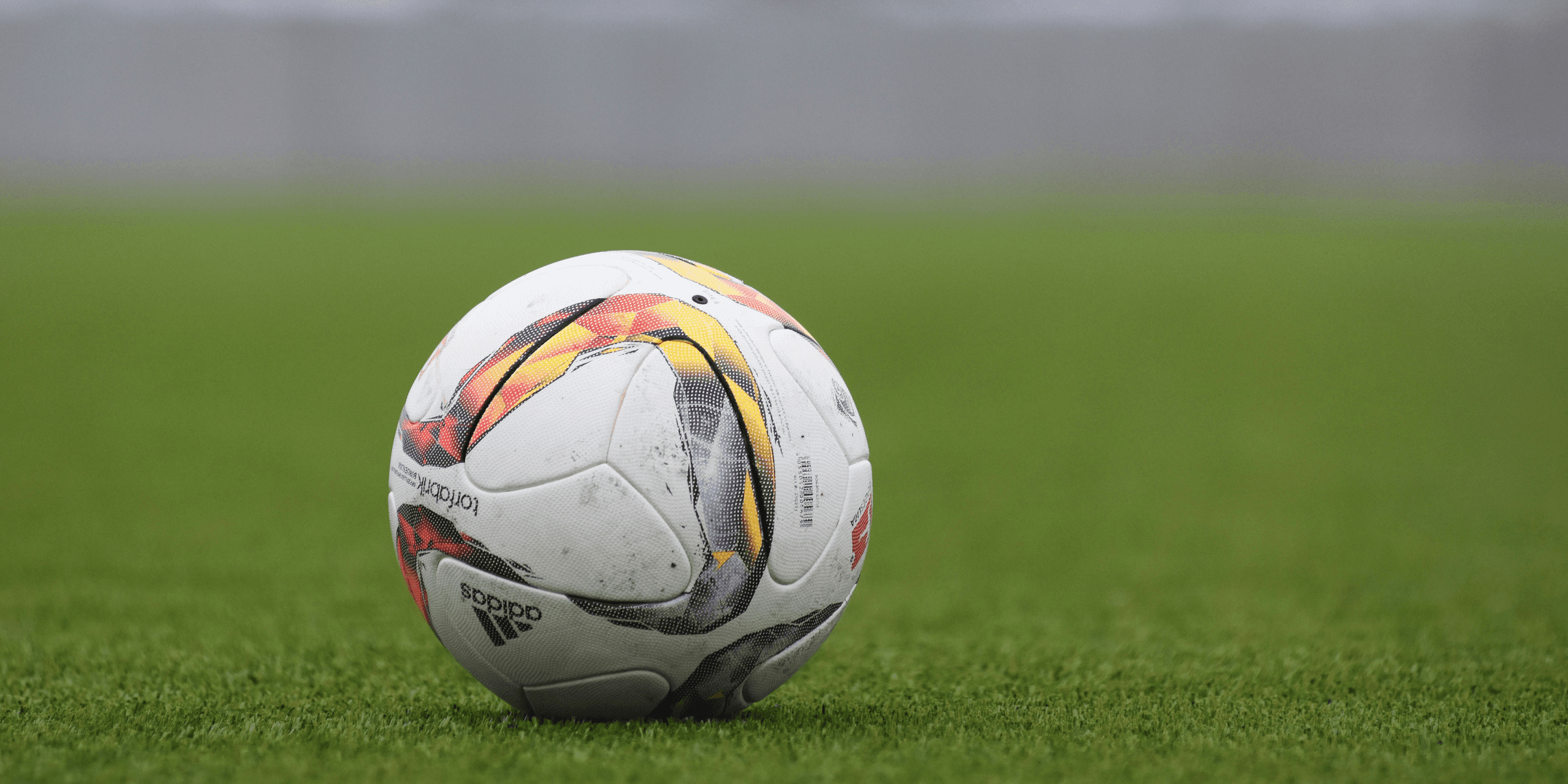 white and gray Adidas soccerball on lawn grass.