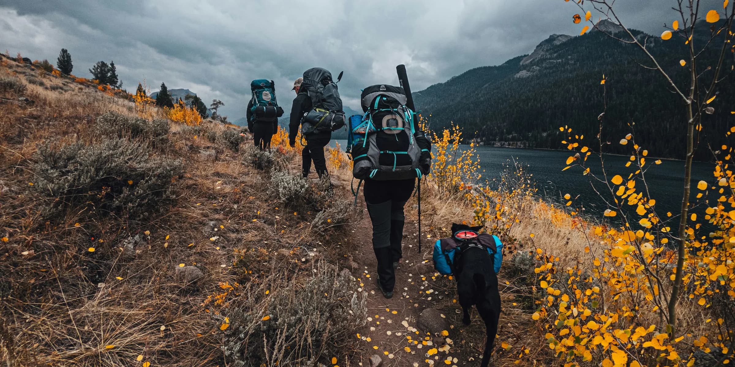 3 people hiking on mountain during daytime