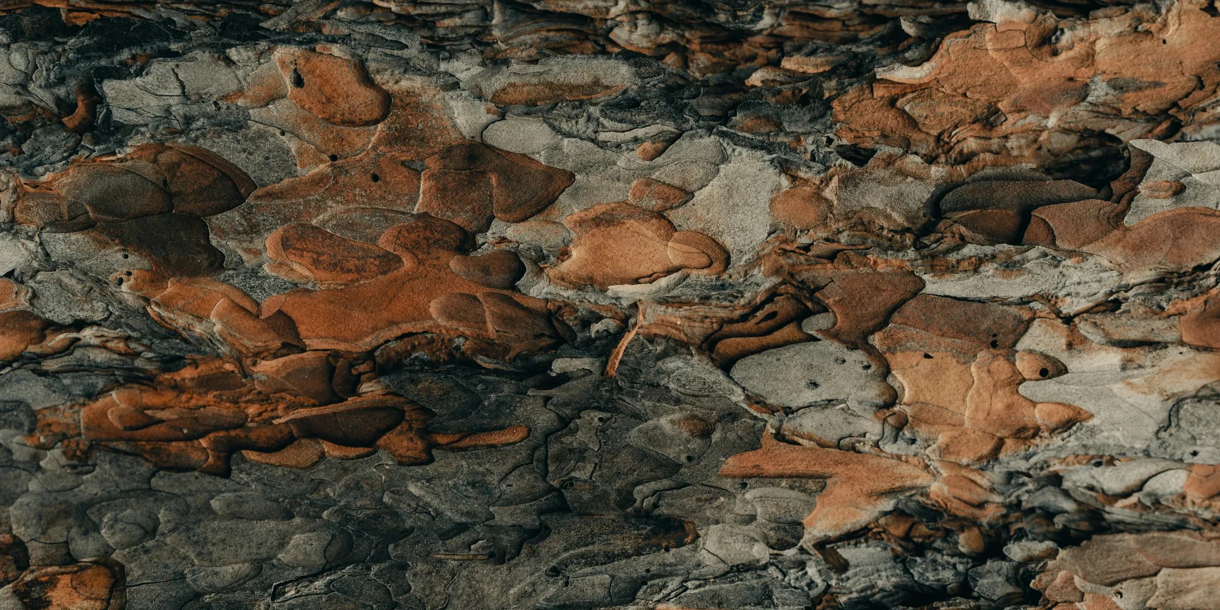 brown and gray rock formation