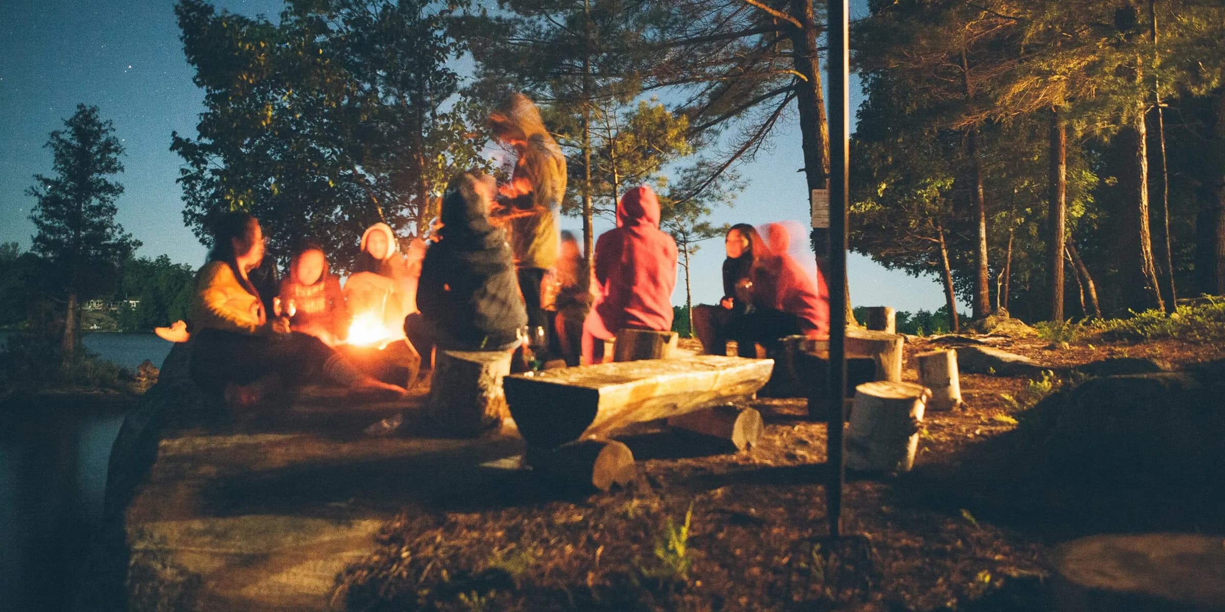 group of people near bonfire near trees during nighttime