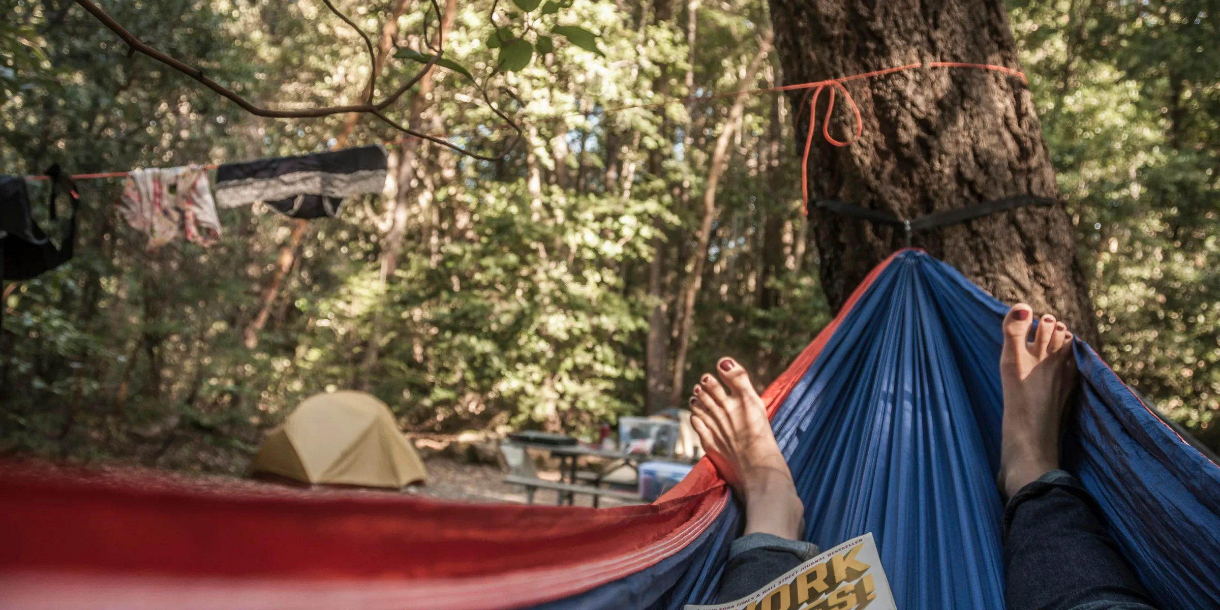 a person laying in a hammock in a forest