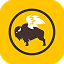 Buffalo Wild Wings