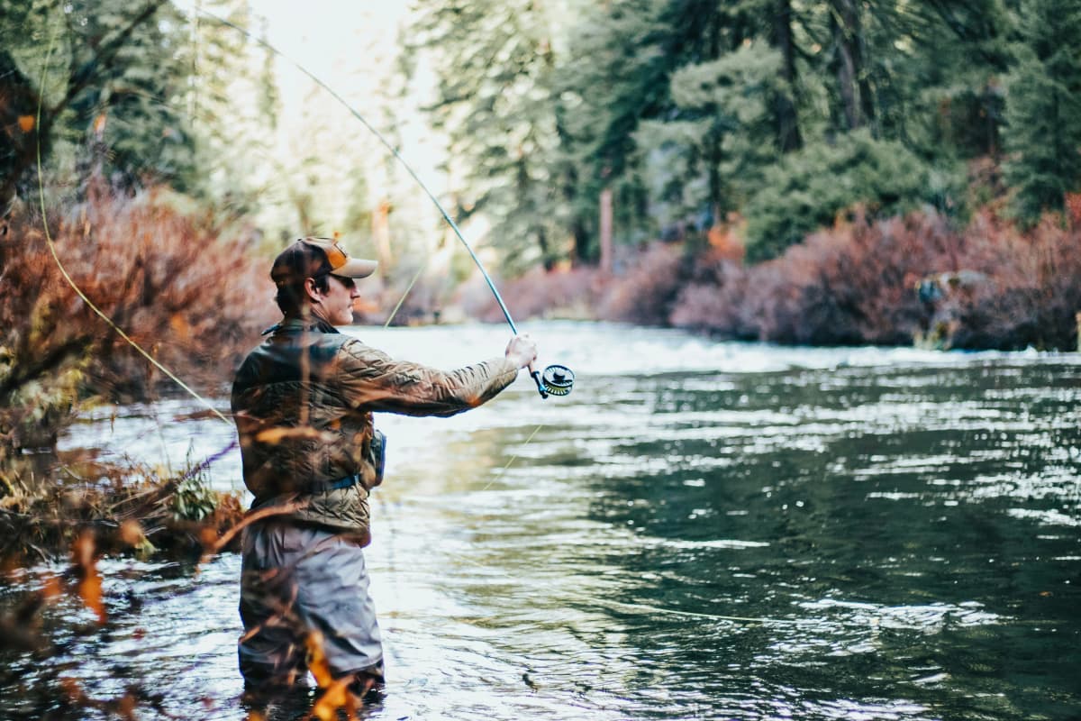 Fishing imagery