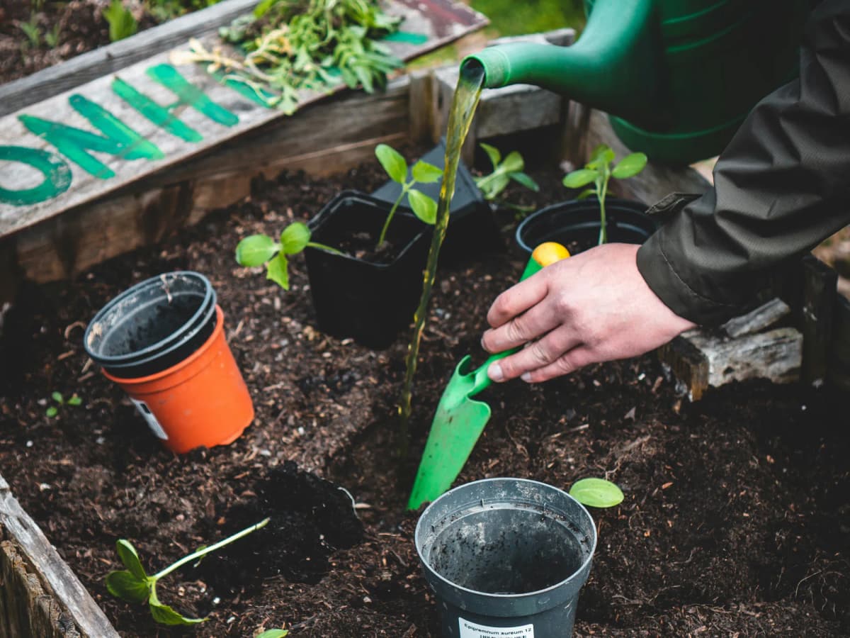 Gardening imagery