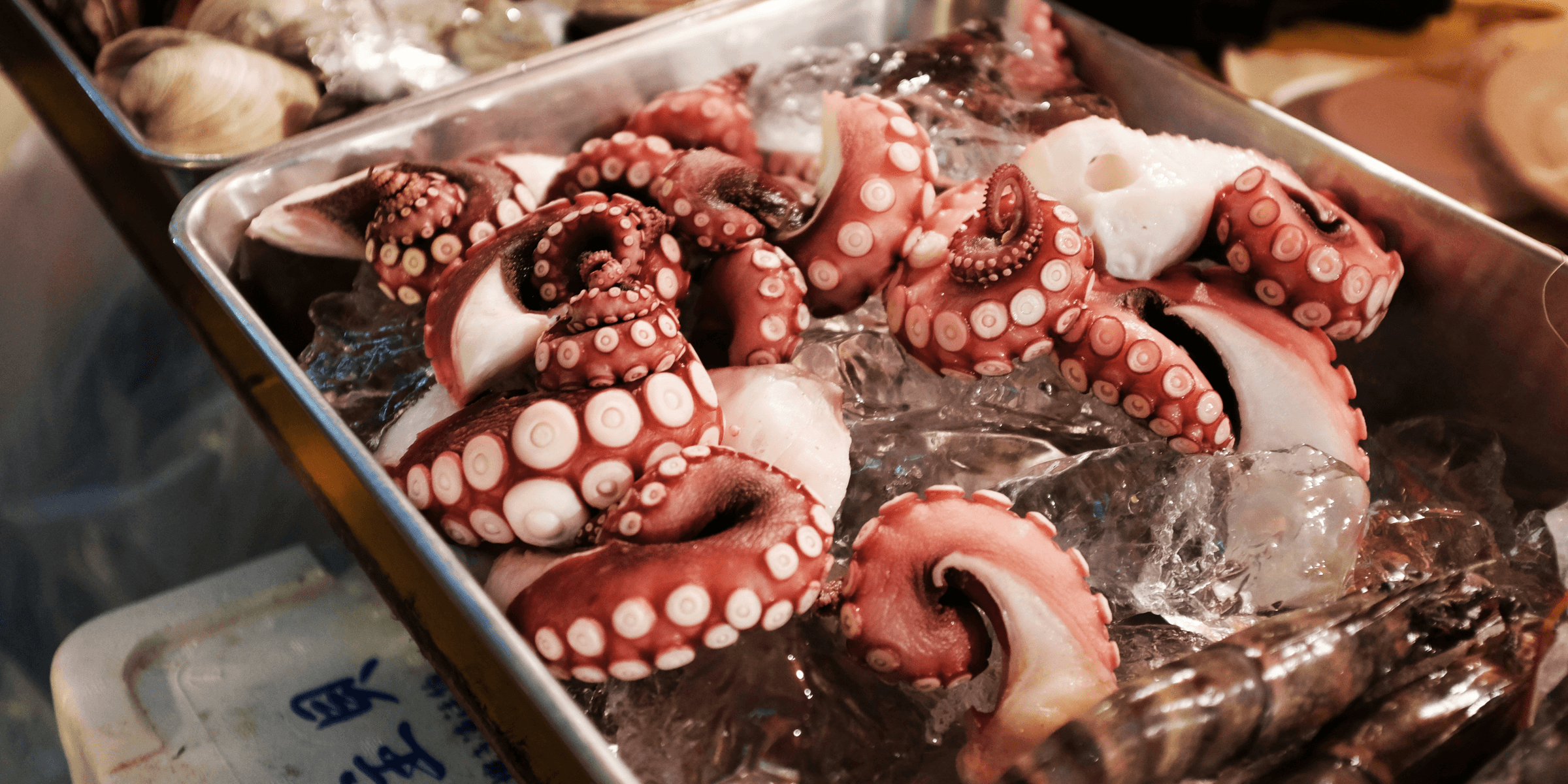 octopus on gray tray.