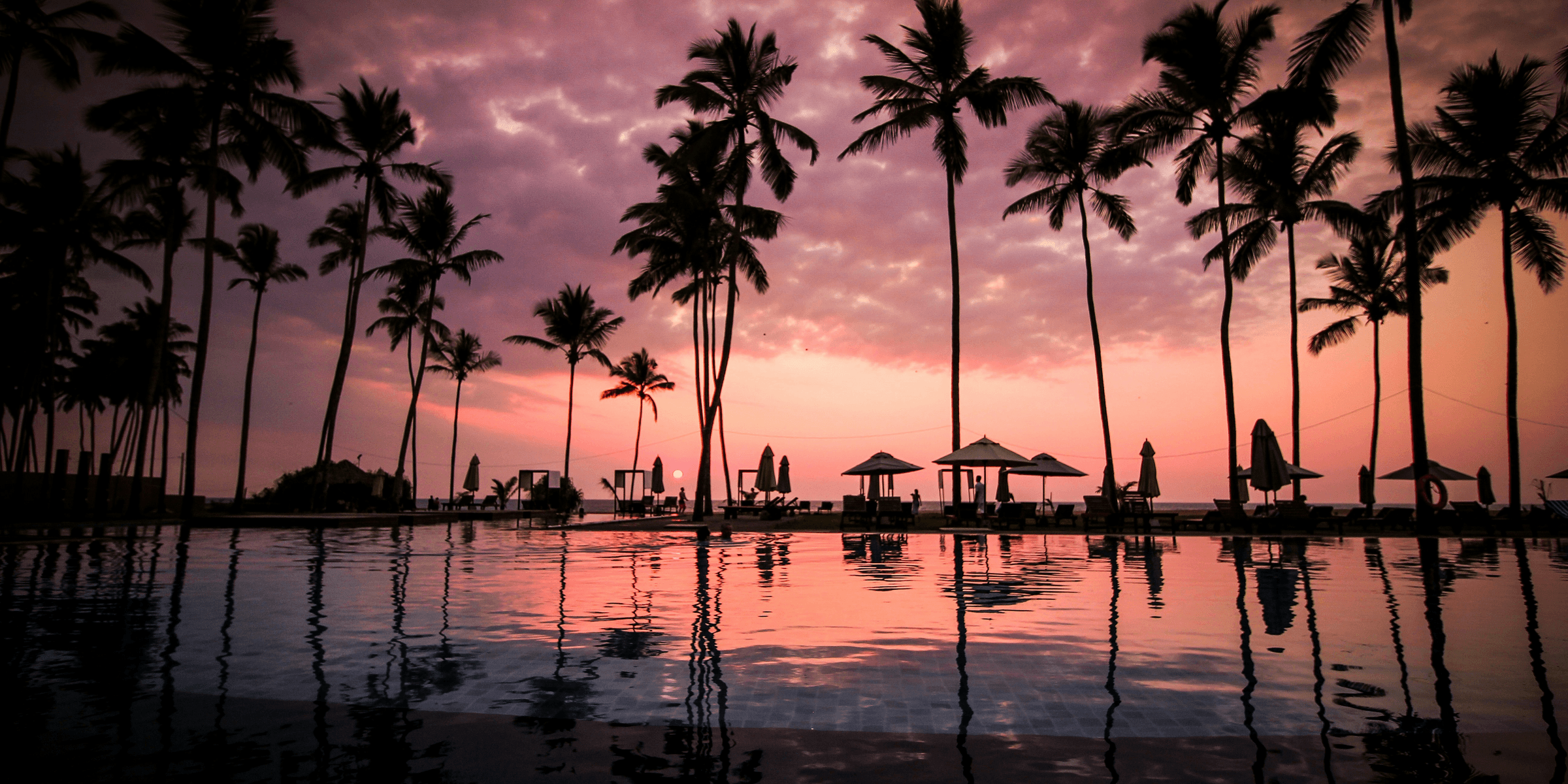 low angle photo of coconut trees beside body of water.