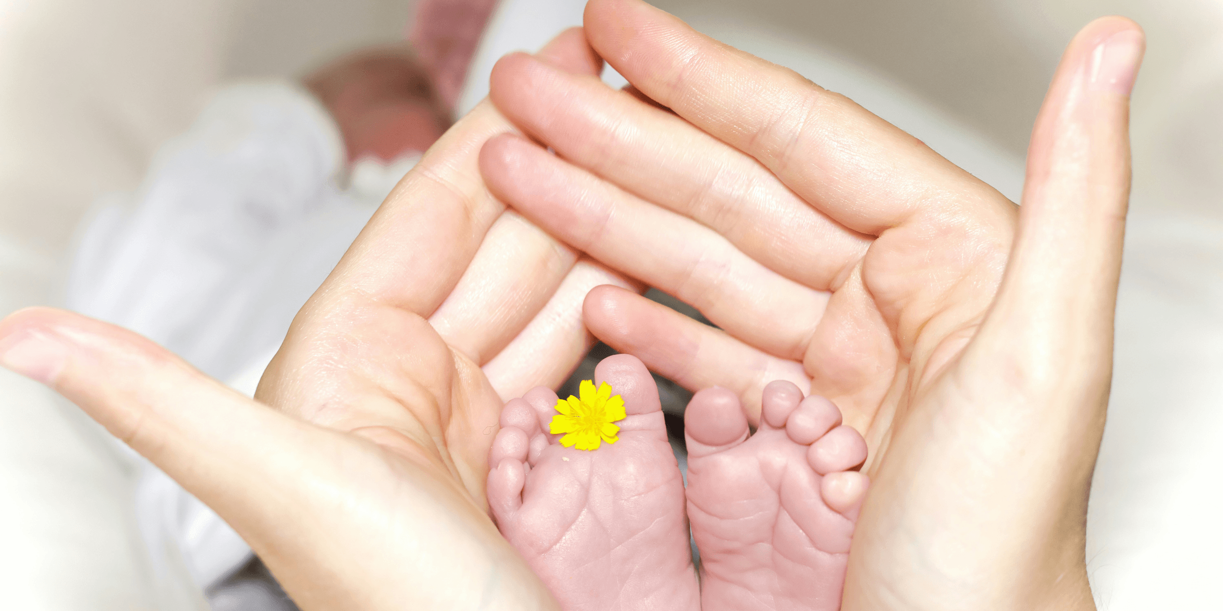 person holding baby's toe with yellow petaled flower in between.