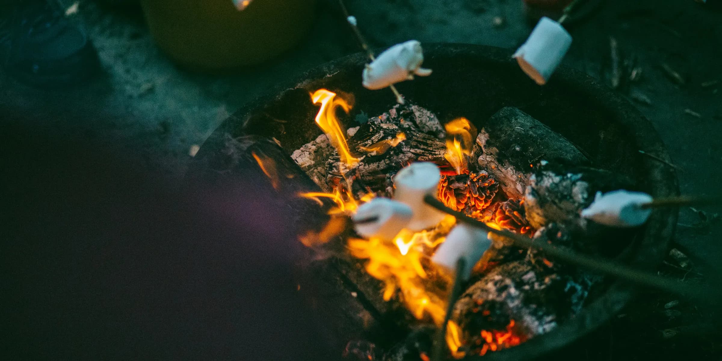 people grilling marshmallows