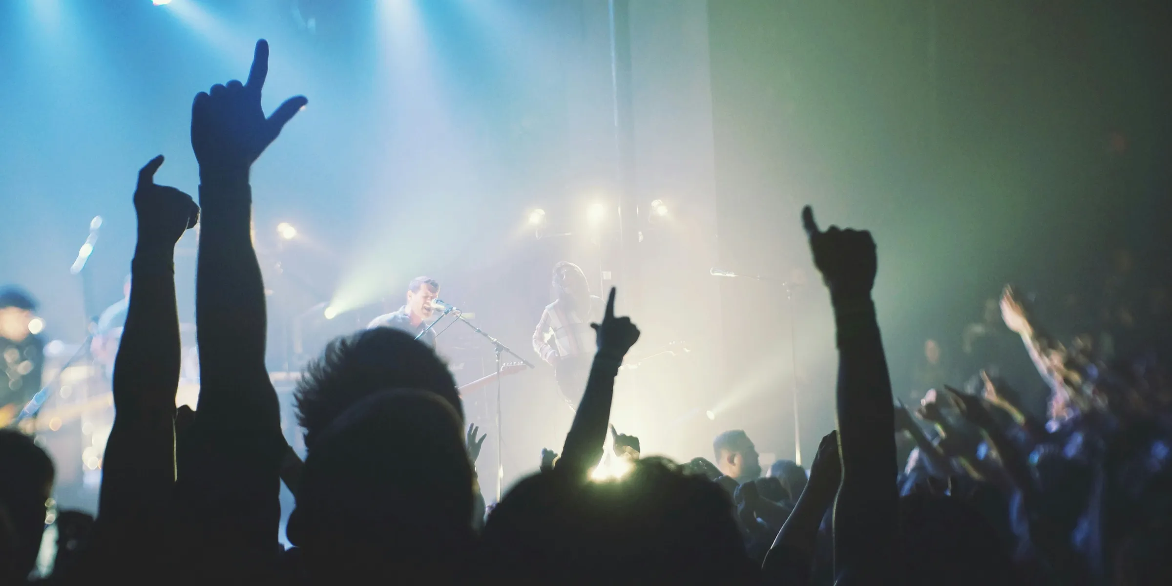 crowd cheering band during night time