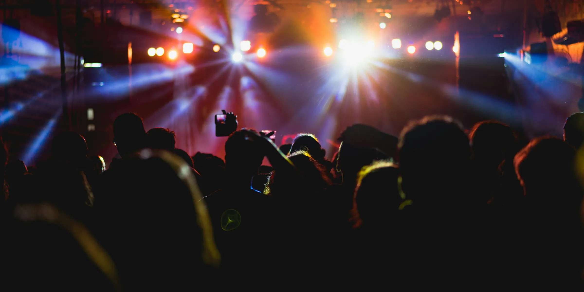 people enjoying concert