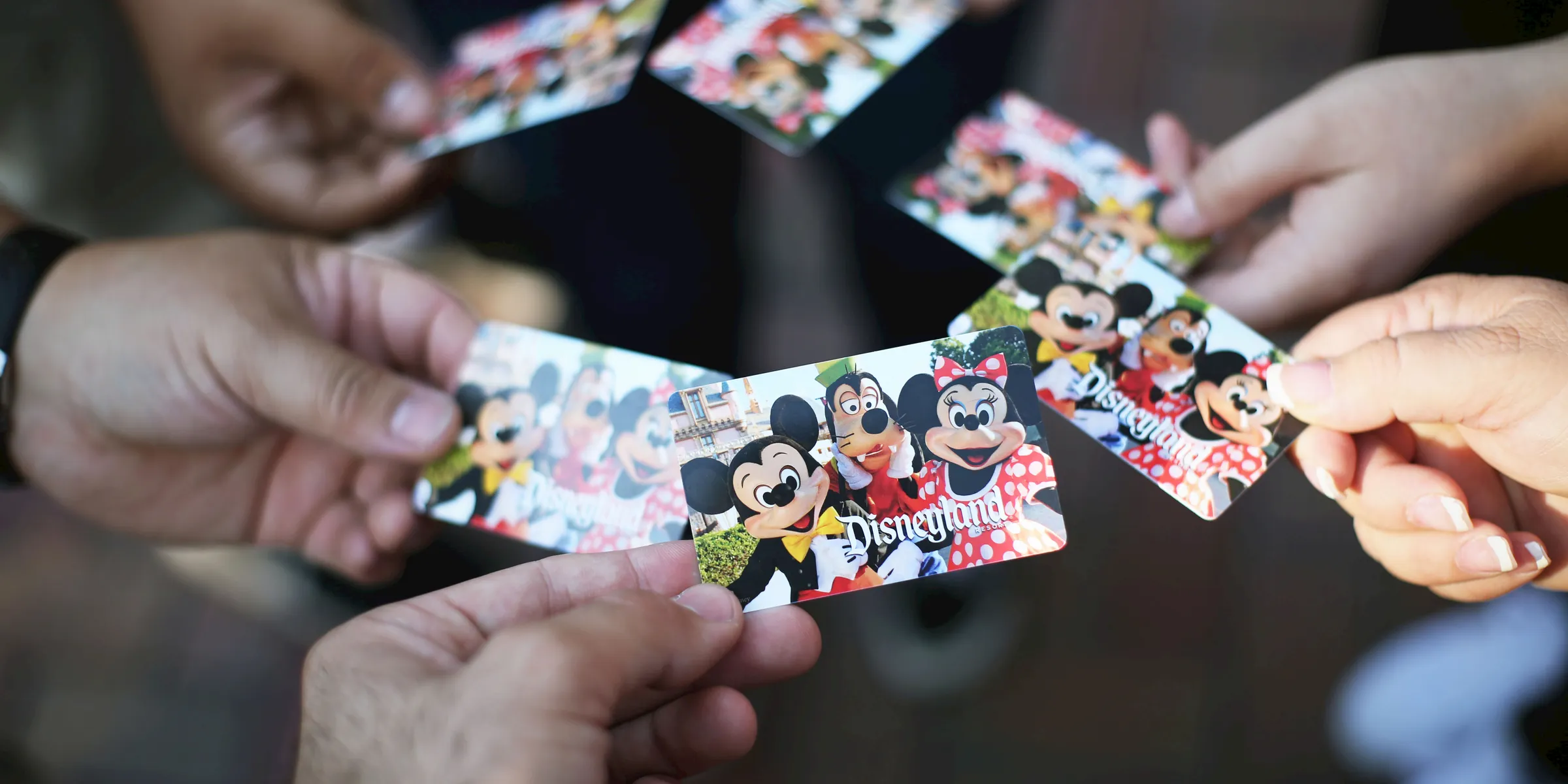 shallow focus photo of Disneyland cards