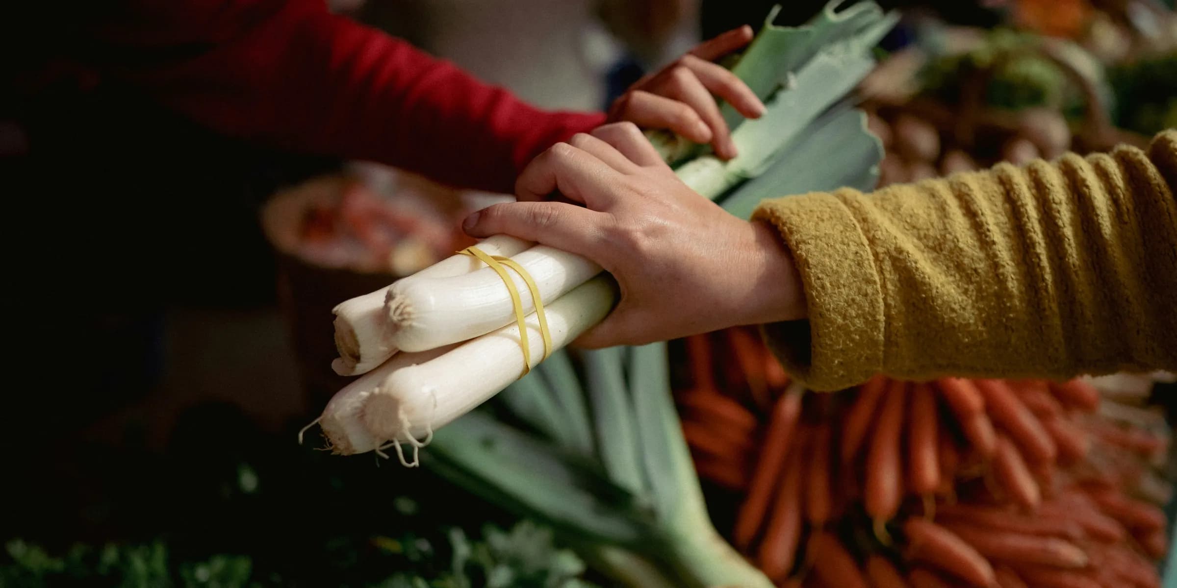 a person holding a bunch of carrots in their hands