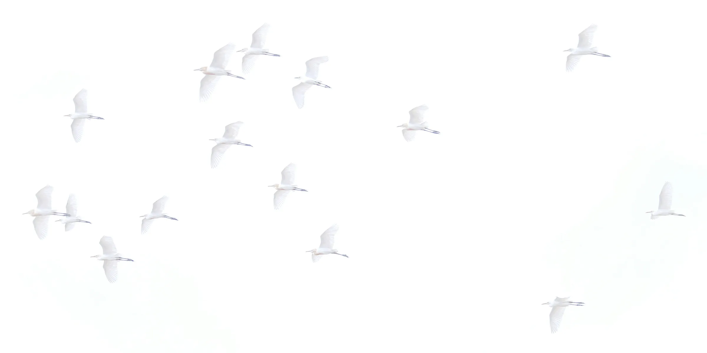 silhouette of people on the stage