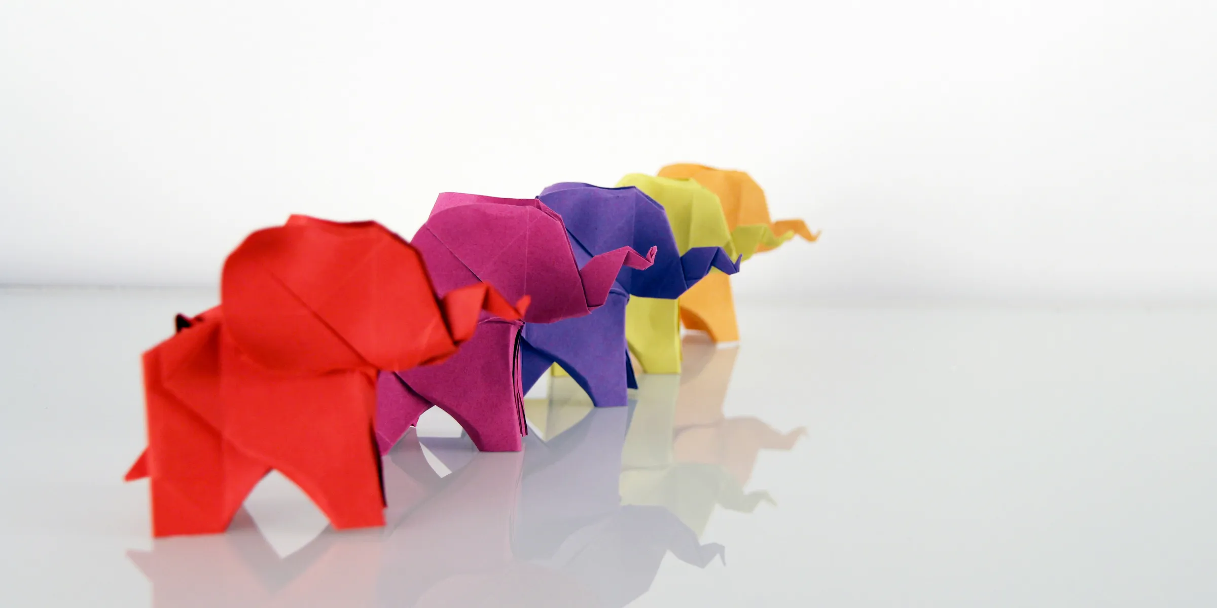 five assorted-color elephant origami
