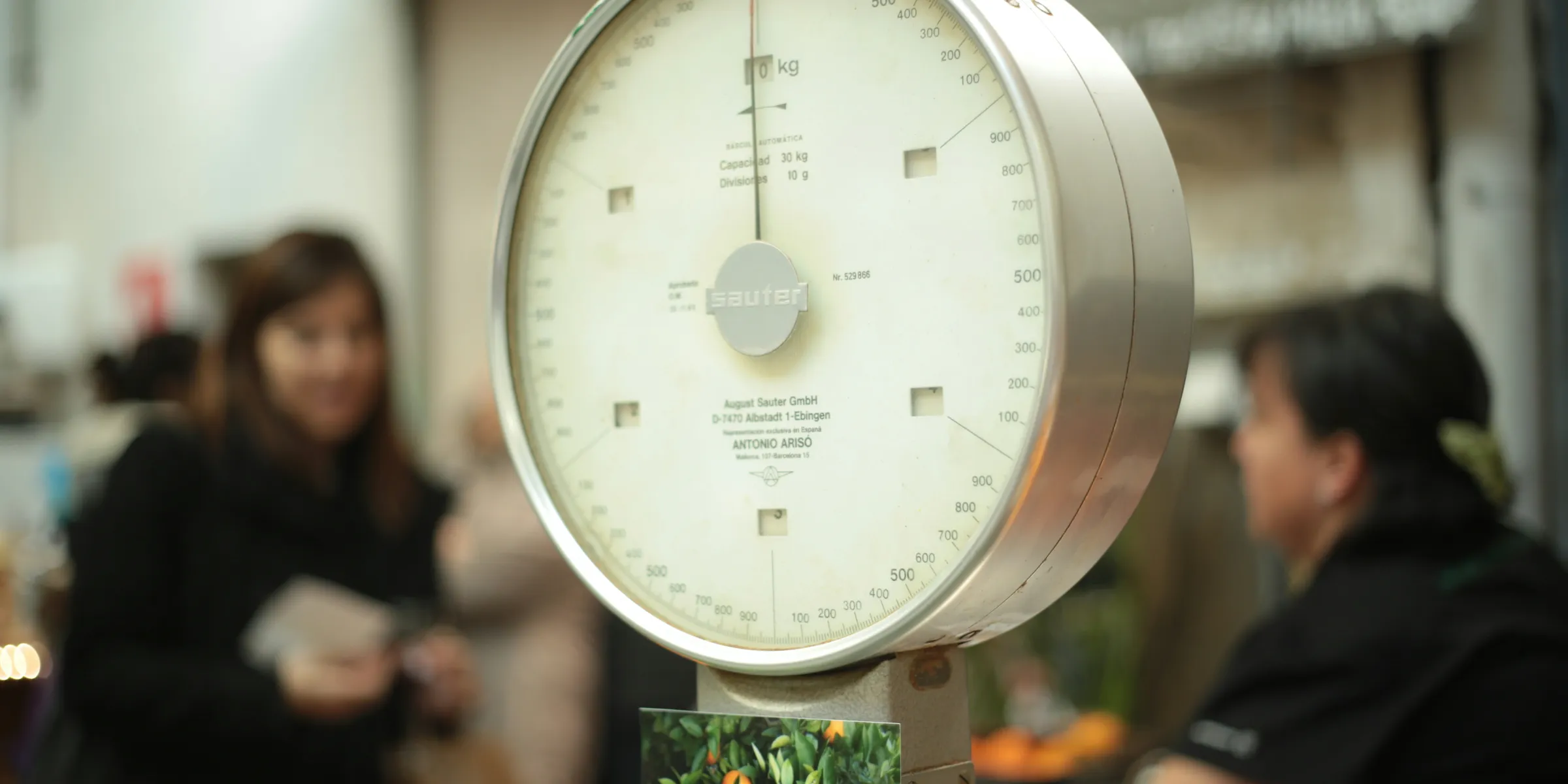 macro shot photo of scale