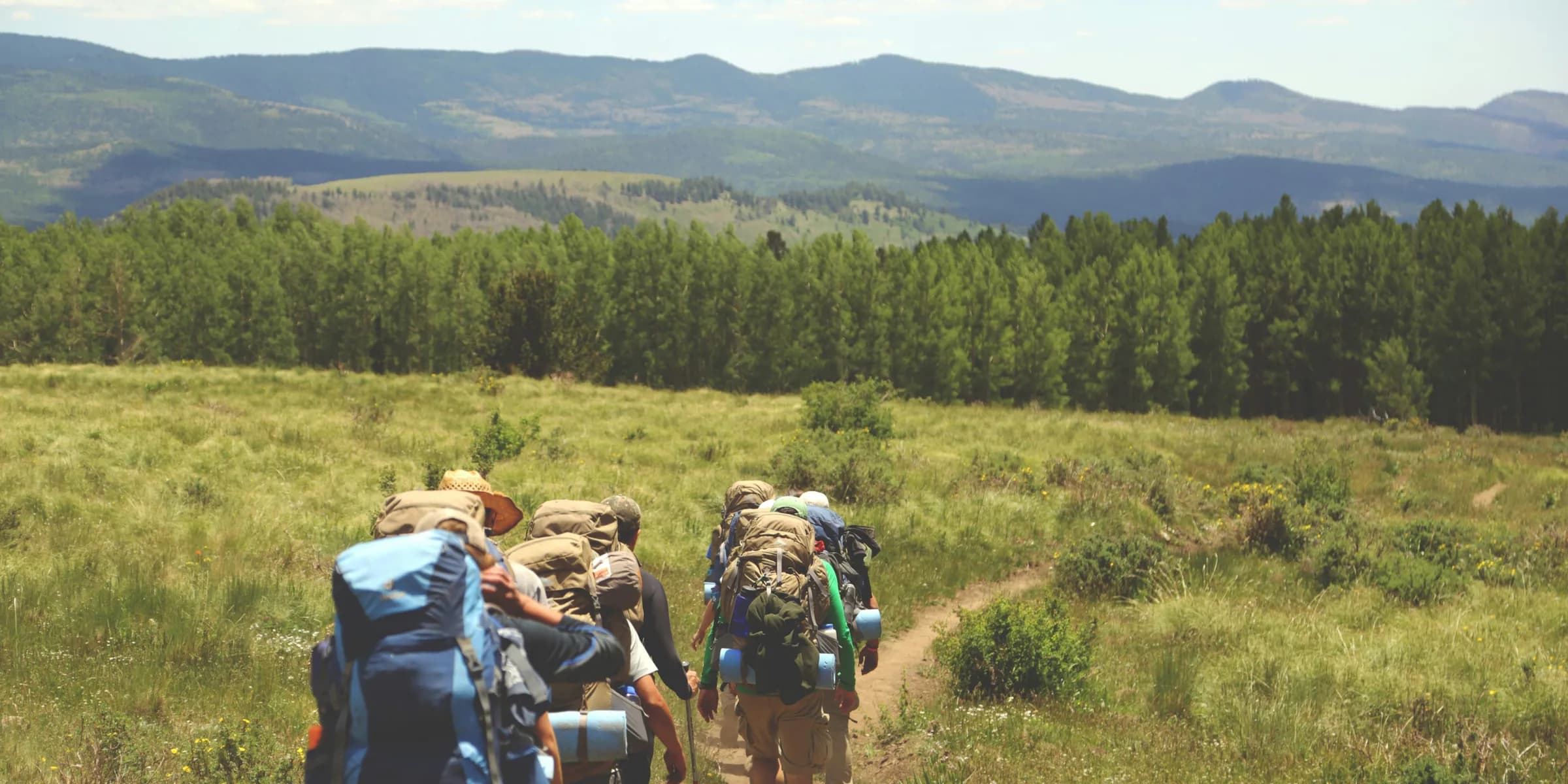 group of people walking on pathway between green grass background of tree