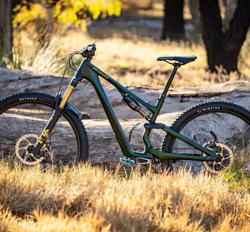 Cycling imagery featuring Stumpjumper 15 Comp