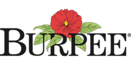 Burpee